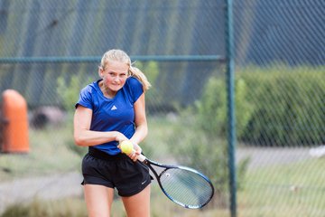 Bild 186 - TVSH Cup